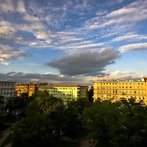 Cilantro Wrocław